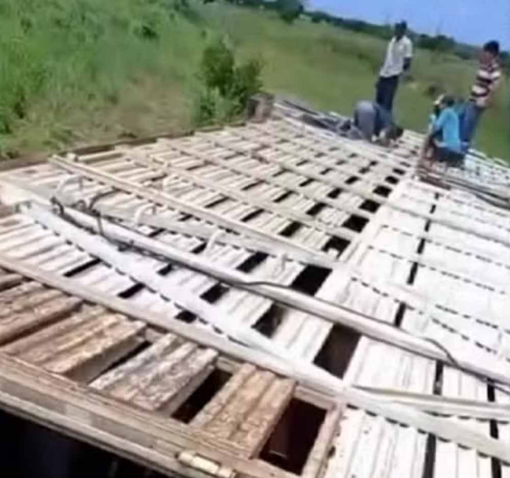 Caminhão transportando 86 bovinos tomba e mata seis animais no norte do Tocantins