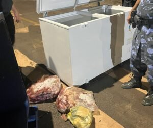 Freezer furtado de escola em Região Norte: Guarda Metropolitana de Palmas prende suspeitos.