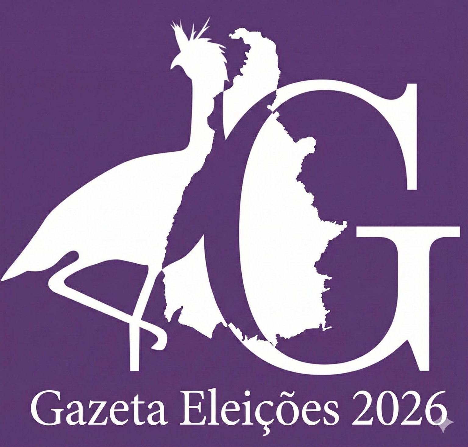 O que nasce nas crises sociais do Tocantins: As agendas que definirão o cenário eleitoral deste ano.
