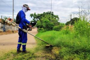 Prefeitura amplia ação de roçagem em regiões central, norte e sul de Palmas