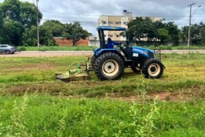 Prefeitura inicia operação de capina na região central de Palmas
