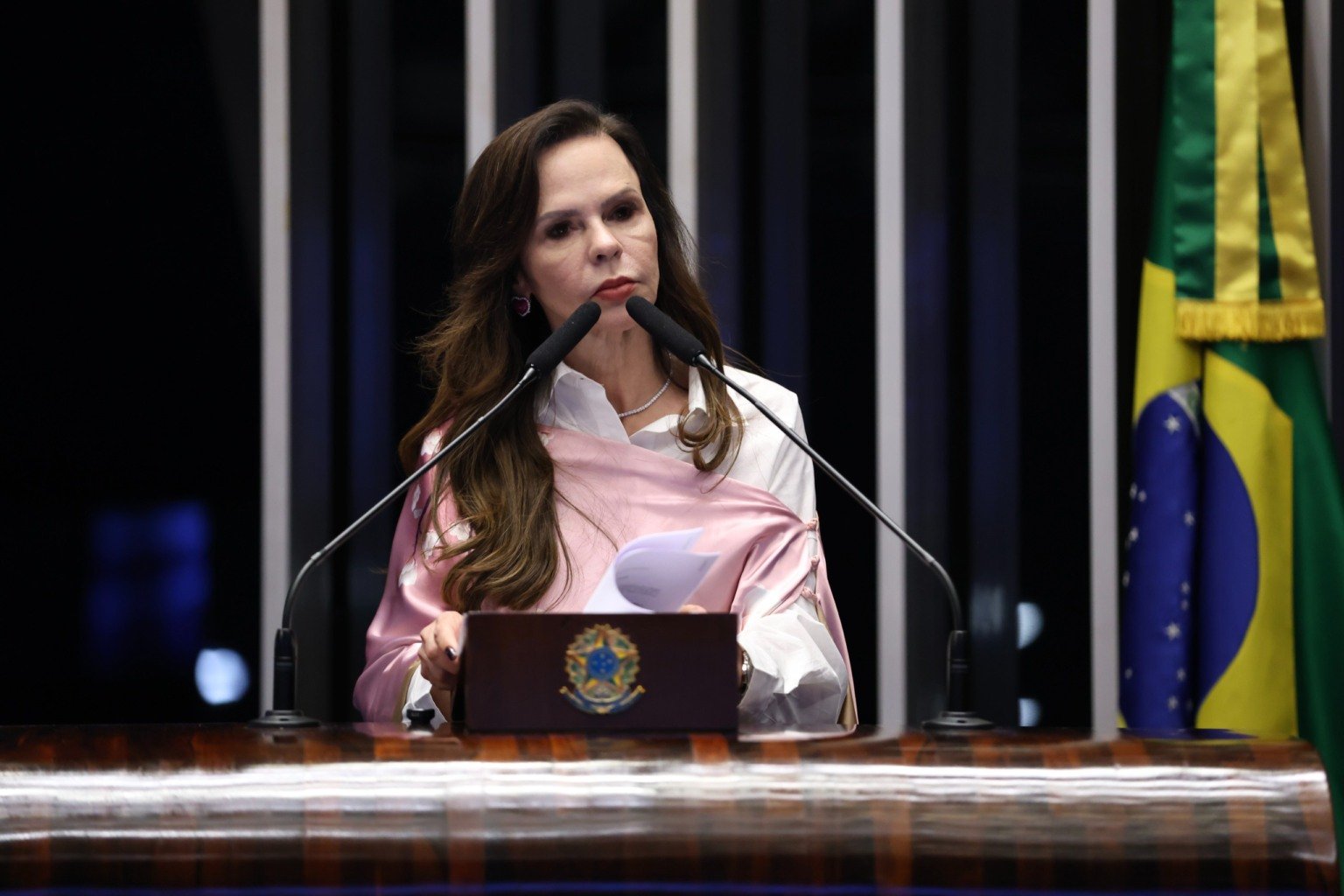 Dorinha apresenta instalação do Comitê dos Três Poderes como estratégia contra o feminicídio.