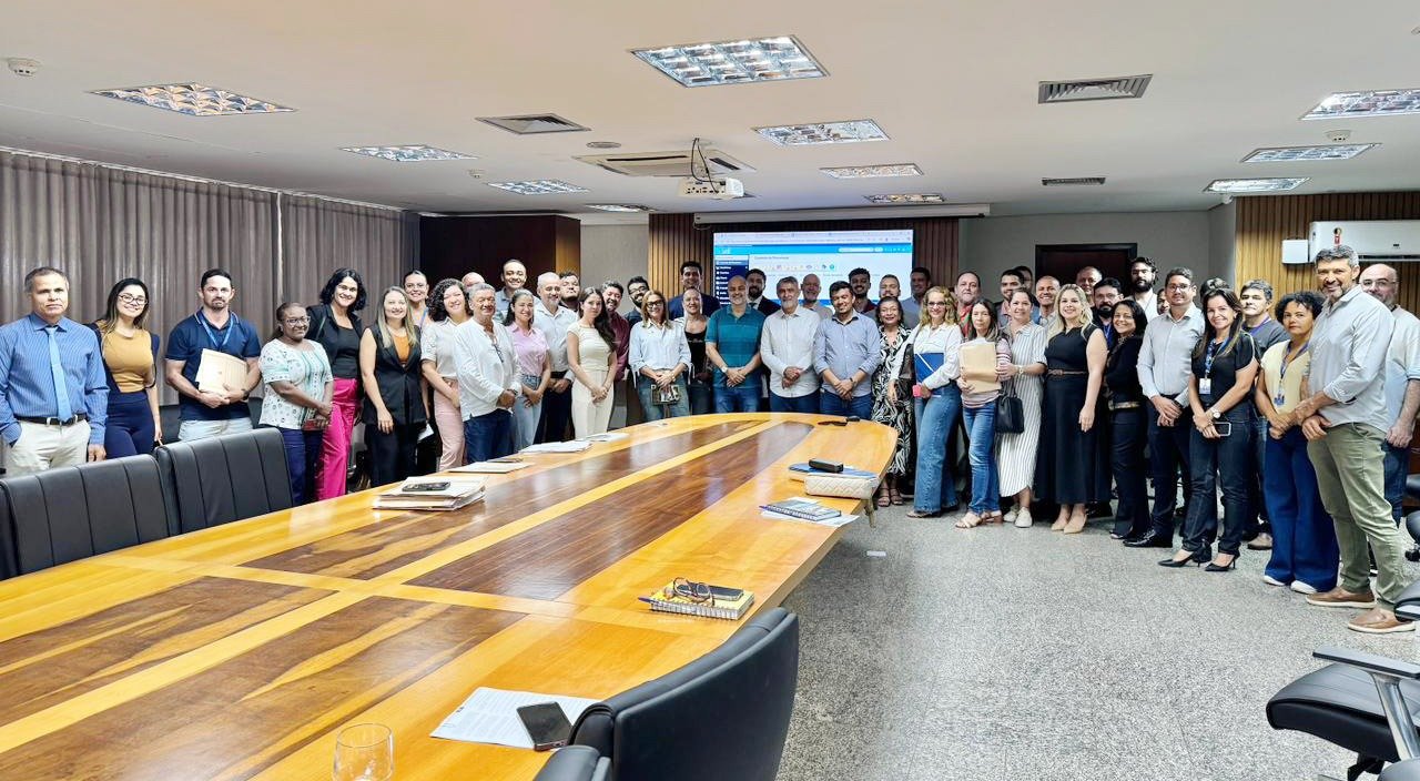 Etapas de implantação do SEI em discussão na AL