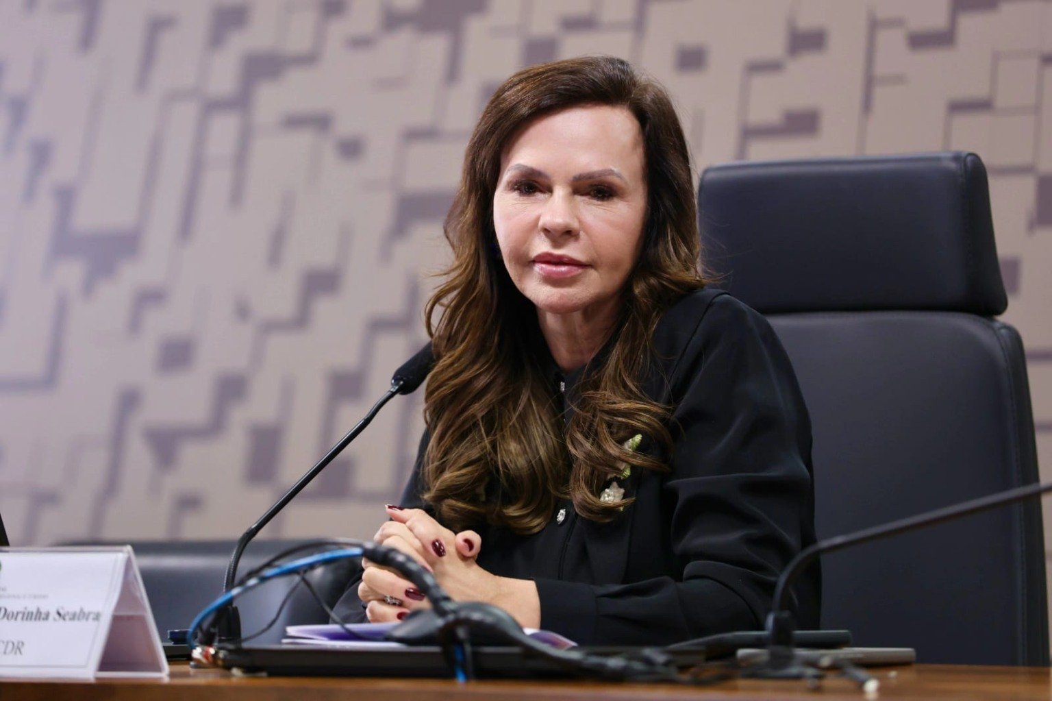 Dorinha fica com relatoria da MP que reajusta Piso do Magistério