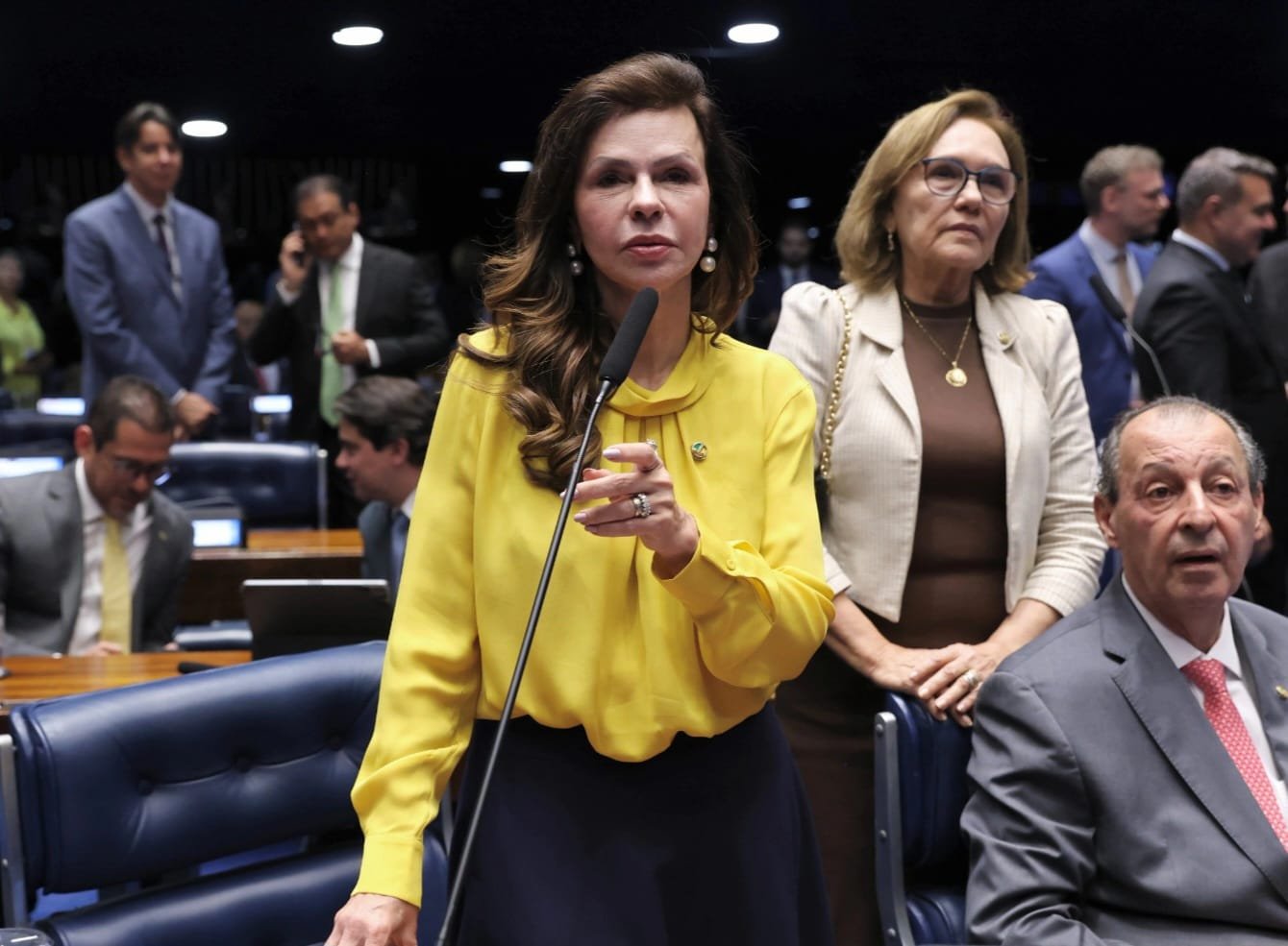 Projeto de cadastro nacional de condenados por violência contra mulheres avança no Senado, relatado por Dorinha